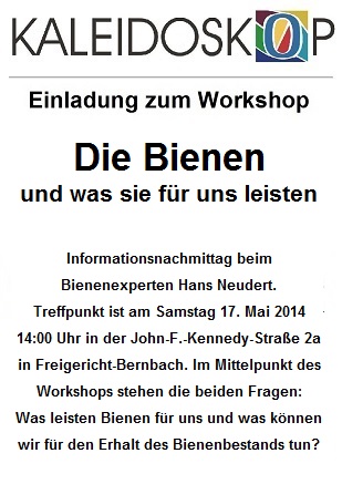 2014-05-17_Workshop-Bienen